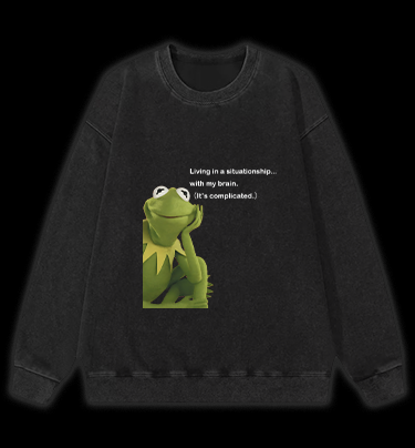 Contemplative Frog Vintage Washed 100% Cotton Sweatshirt