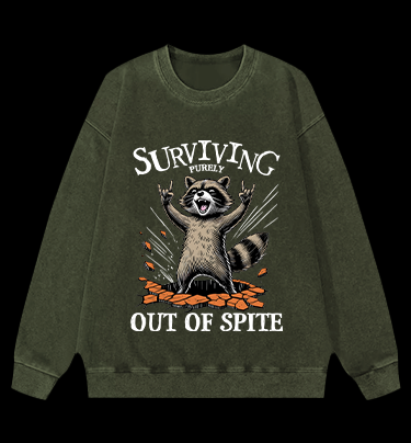 Rockin' Raccoon Fun Vintage Washed 100% Cotton Sweatshirt