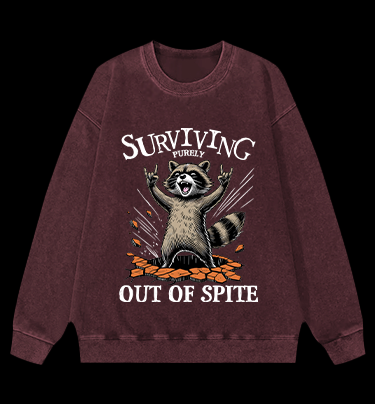 Rockin' Raccoon Fun Vintage Washed 100% Cotton Sweatshirt