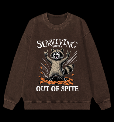 Rockin' Raccoon Fun Vintage Washed 100% Cotton Sweatshirt