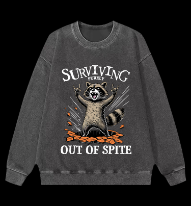 Rockin' Raccoon Fun Vintage Washed 100% Cotton Sweatshirt