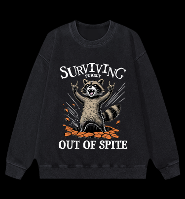 Rockin' Raccoon Fun Vintage Washed 100% Cotton Sweatshirt