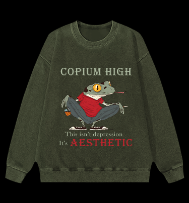 Frog's Aesthetic Depress Vintage Washed 100% Cotton Sweatshirt