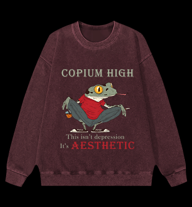 Frog's Aesthetic Depress Vintage Washed 100% Cotton Sweatshirt