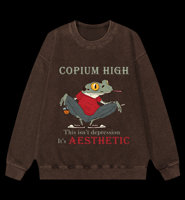 Frog's Aesthetic Depress Vintage Washed 100% Cotton Sweatshirt