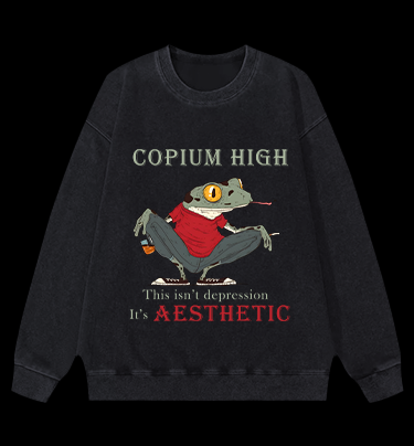 Frog's Aesthetic Depress Vintage Washed 100% Cotton Sweatshirt