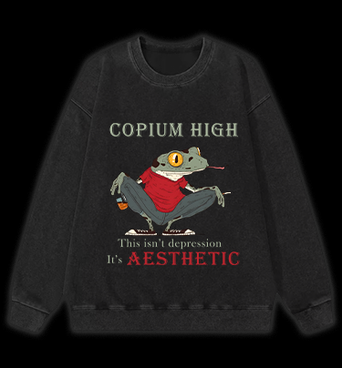 Frog's Aesthetic Depress Vintage Washed 100% Cotton Sweatshirt