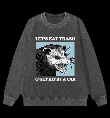 Mouse's Trash Plan Vintage Washed 100% Cotton Sweatshirt