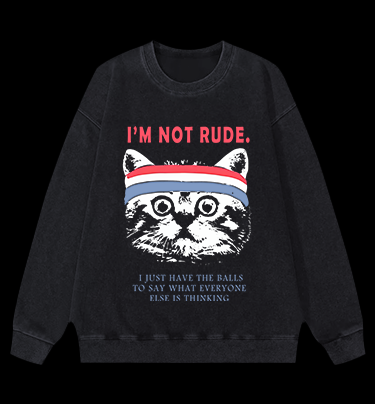 Cat's Bold Truth Vintage Washed 100% Cotton Sweatshirt