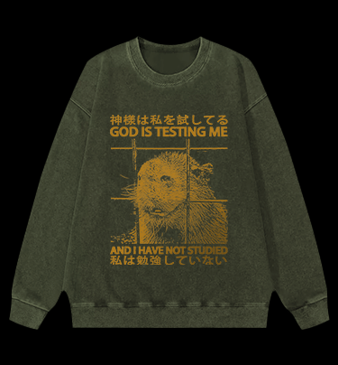 Capybara's Test Trouble Vintage Washed 100% Cotton Sweatshirt