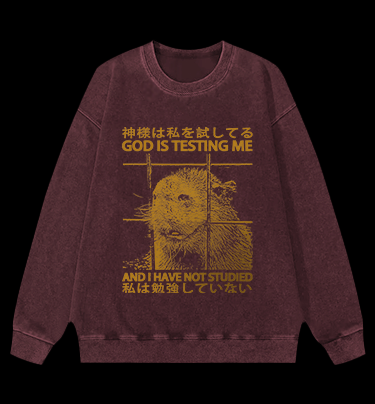 Capybara's Test Trouble Vintage Washed 100% Cotton Sweatshirt