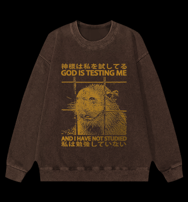 Capybara's Test Trouble Vintage Washed 100% Cotton Sweatshirt