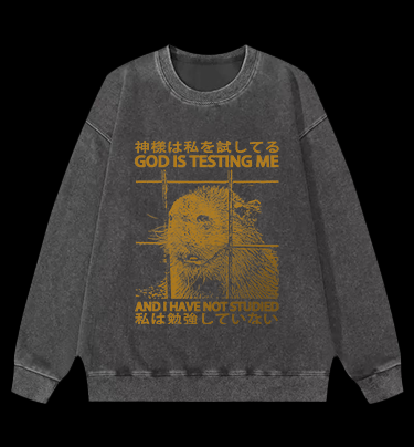 Capybara's Test Trouble Vintage Washed 100% Cotton Sweatshirt