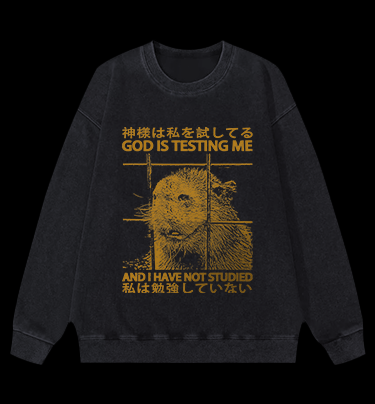 Capybara's Test Trouble Vintage Washed 100% Cotton Sweatshirt
