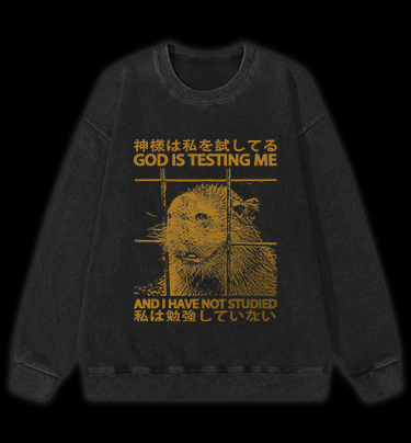 Capybara's Test Trouble Vintage Washed 100% Cotton Sweatshirt