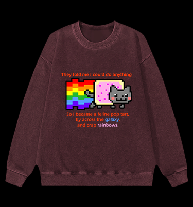 Cat's Crazy Style Vintage Washed 100% Cotton Sweatshirt
