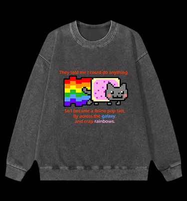 Cat's Crazy Style Vintage Washed 100% Cotton Sweatshirt