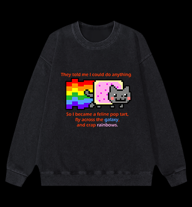 Cat's Crazy Style Vintage Washed 100% Cotton Sweatshirt