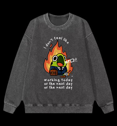 Frog Hates Working Vintage Washed 100% Cotton Sweatshirt