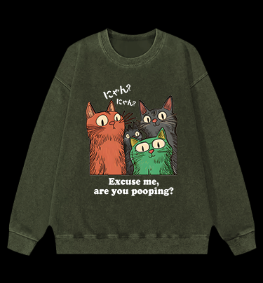 Funny Cat Question Vintage Washed 100% Cotton Sweatshirt