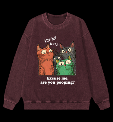 Funny Cat Question Vintage Washed 100% Cotton Sweatshirt