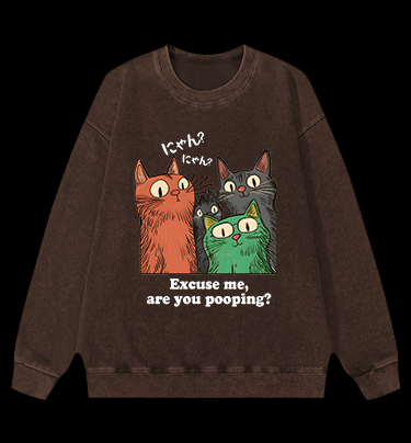 Funny Cat Question Vintage Washed 100% Cotton Sweatshirt