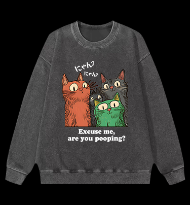 Funny Cat Question Vintage Washed 100% Cotton Sweatshirt