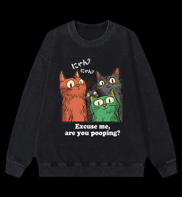 Funny Cat Question Vintage Washed 100% Cotton Sweatshirt