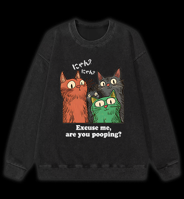 Funny Cat Question Vintage Washed 100% Cotton Sweatshirt