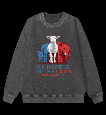 Lamb's Faith Style Vintage Washed 100% Cotton Sweatshirt