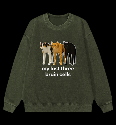Cat's Brainy Style Vintage Washed 100% Cotton Sweatshirt