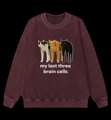 Cat's Brainy Style Vintage Washed 100% Cotton Sweatshirt