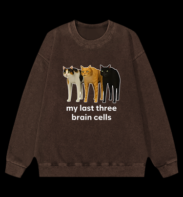 Cat's Brainy Style Vintage Washed 100% Cotton Sweatshirt