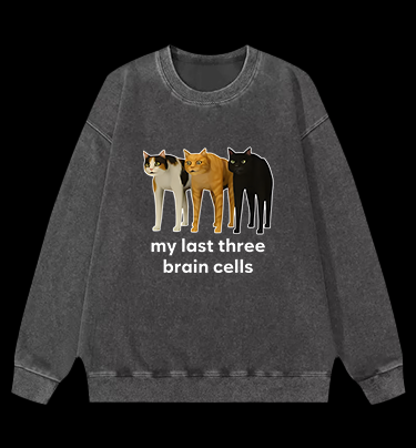 Cat's Brainy Style Vintage Washed 100% Cotton Sweatshirt