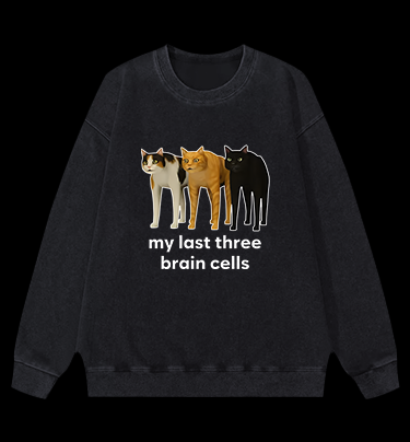 Cat's Brainy Style Vintage Washed 100% Cotton Sweatshirt