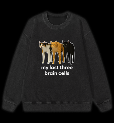 Cat's Brainy Style Vintage Washed 100% Cotton Sweatshirt