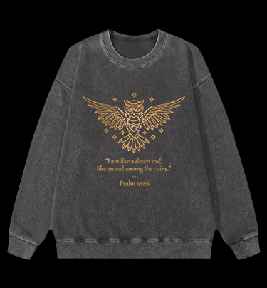 Owl's Bible Style Vintage Washed 100% Cotton Sweatshirt