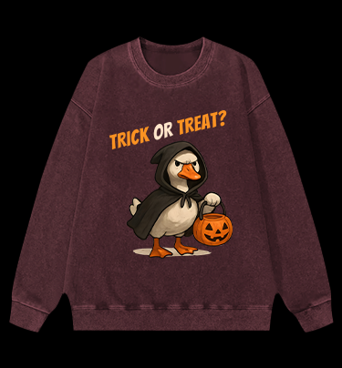 Goose's Treat Quest Vintage Washed 100% Cotton Sweatshirt
