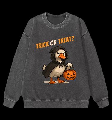 Goose's Treat Quest Vintage Washed 100% Cotton Sweatshirt