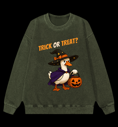 Witch Goose's Treat Vintage Washed 100% Cotton Sweatshirt