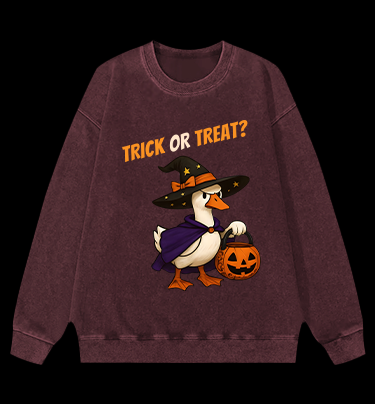Witch Goose's Treat Vintage Washed 100% Cotton Sweatshirt