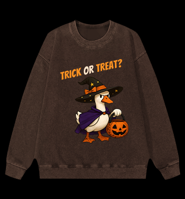 Witch Goose's Treat Vintage Washed 100% Cotton Sweatshirt