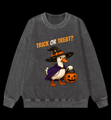 Witch Goose's Treat Vintage Washed 100% Cotton Sweatshirt