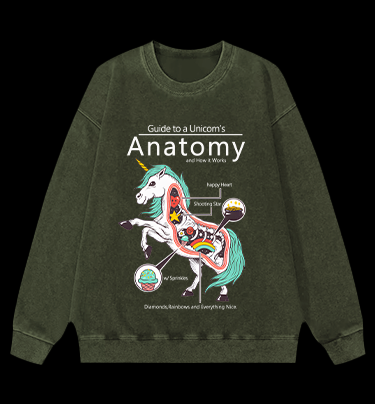 Fantasy Unicorn Guide Vintage Washed 100% Cotton Sweatshirt