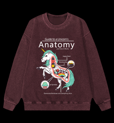 Fantasy Unicorn Guide Vintage Washed 100% Cotton Sweatshirt