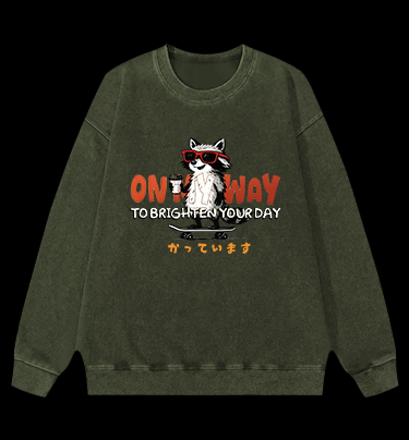 On My Way Raccoon Vintage Washed 100% Cotton Sweatshirt