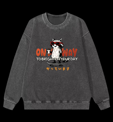 On My Way Raccoon Vintage Washed 100% Cotton Sweatshirt