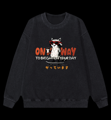 On My Way Raccoon Vintage Washed 100% Cotton Sweatshirt