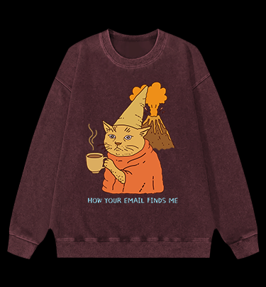 Cat:How Your Email Finds Me? Vintage Washed 100% Cotton Sweatshirt