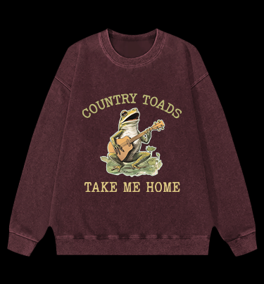 Guitar Frog Roadtrip Vintage Washed 100% Cotton Sweatshirt